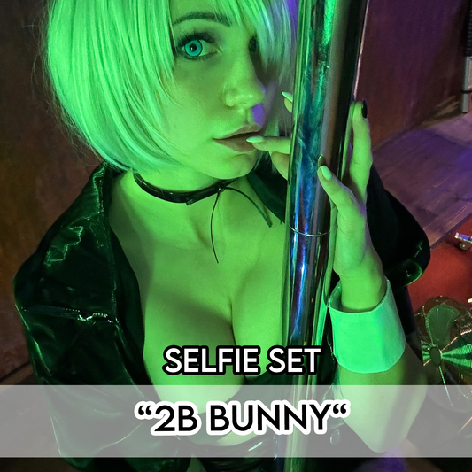 2B Bunny